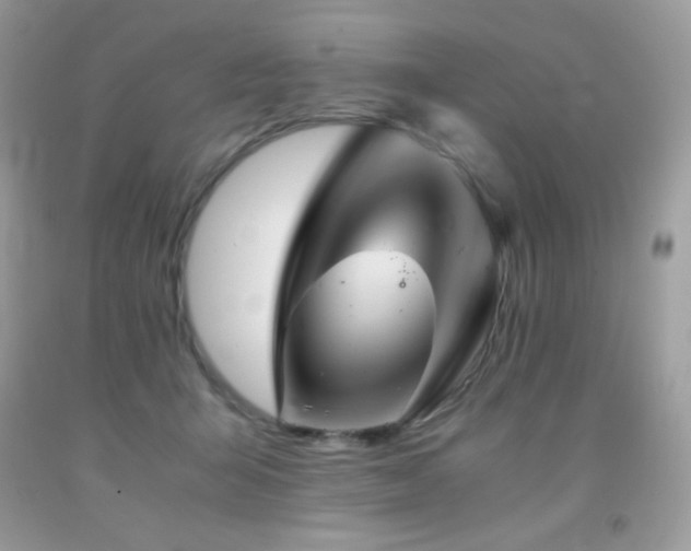 X0000092020415200709061557