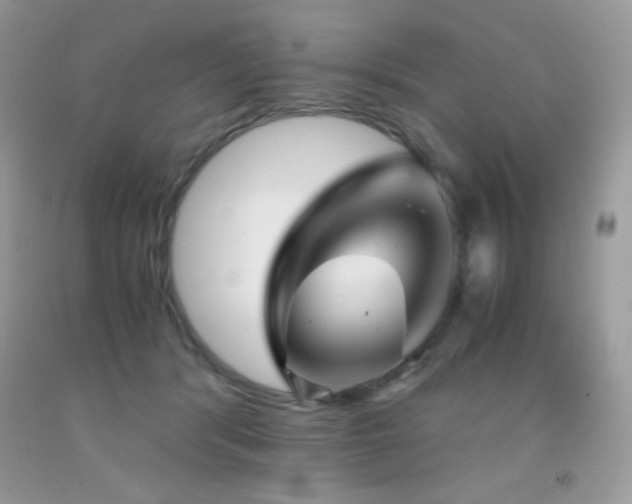 X0000092020416200709061557