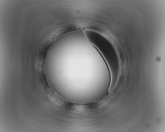 X0000092020417200709061557