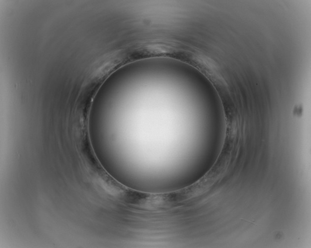 X0000092020418200709061557