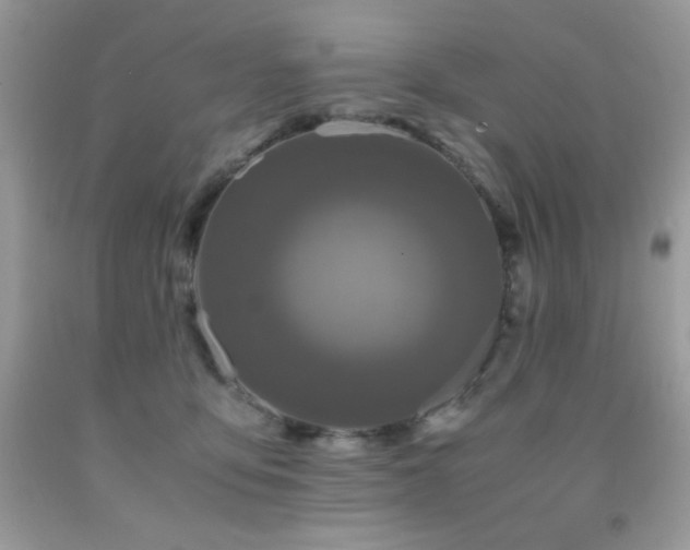 X0000092020419200709061557