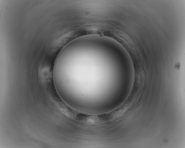 X0000092020420200709061557