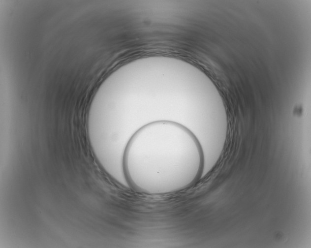 X0000092020421200709061557