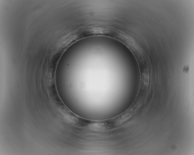 X0000092020422200709061557
