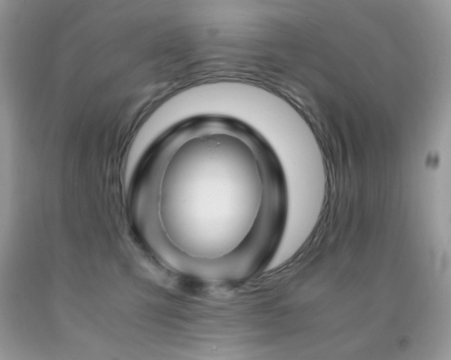 X0000092020423200709061557