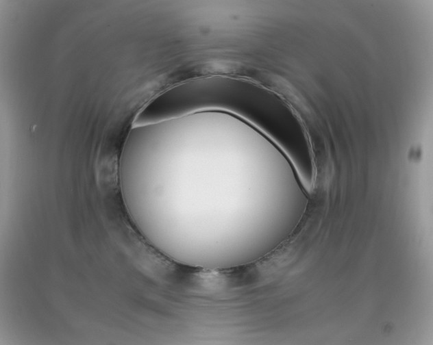 X0000092020425200709061557