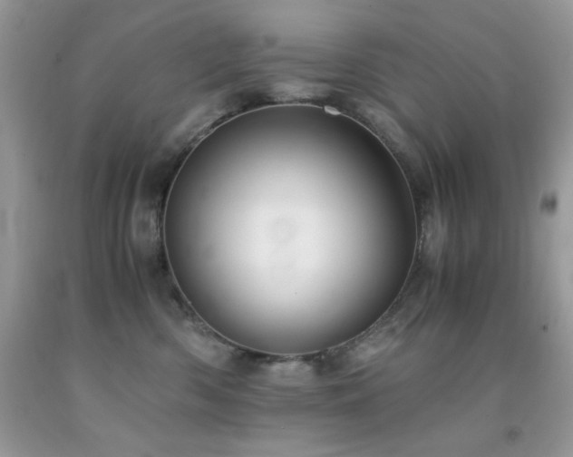 X0000092020426200709061557