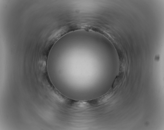 X0000092020427200709061557