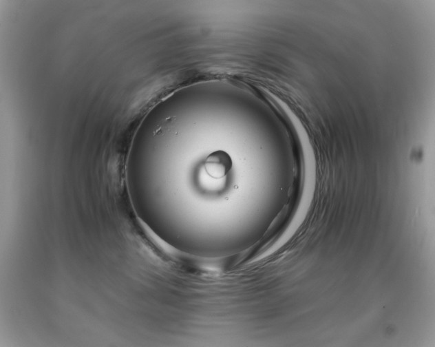 X0000092020428200709061557