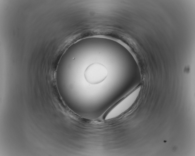 X0000092020429200709061557