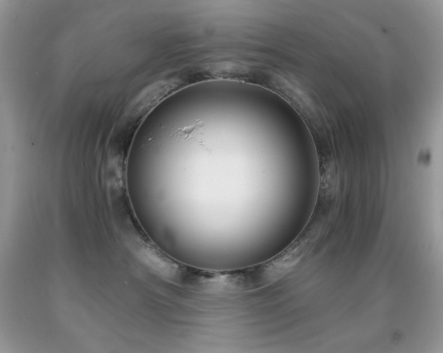 X0000092020430200709061557