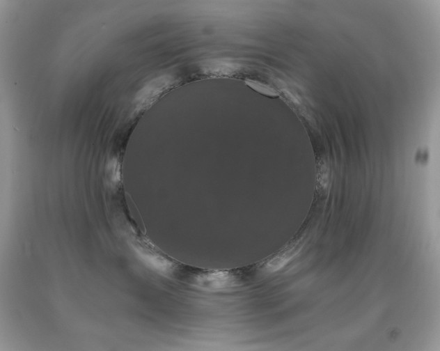 X0000092020431200709061557