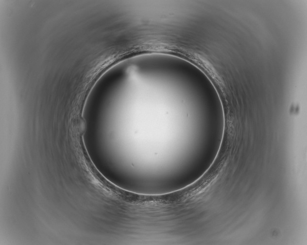 X0000092020433200709061556