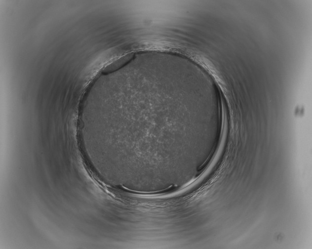 X0000092020434200709061556