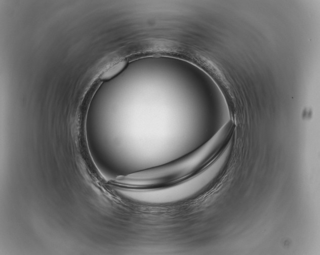 X0000092020435200709061556