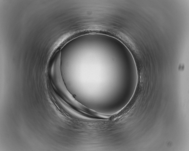 X0000092020436200709061556
