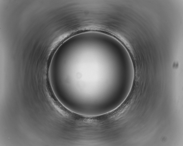 X0000092020437200709061556