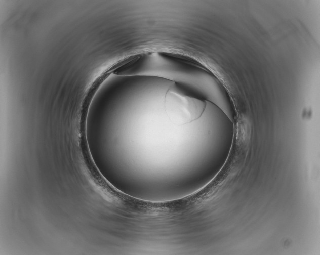 X0000092020438200709061556