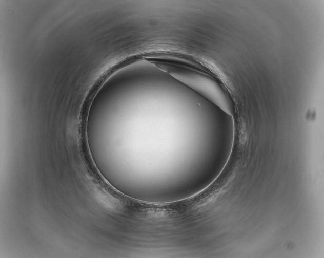 X0000092020439200709061556