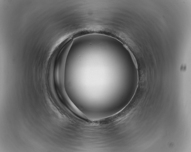 X0000092020440200709061556