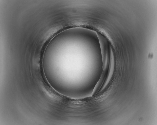 X0000092020443200709061556