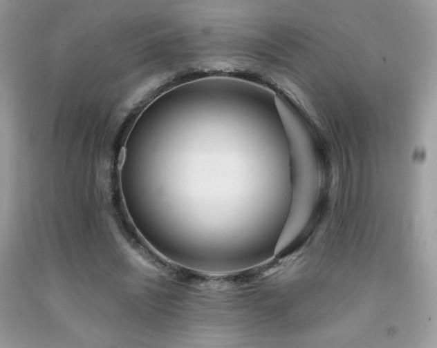 X0000092020444200709061556