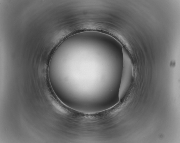 X0000092020445200709061556