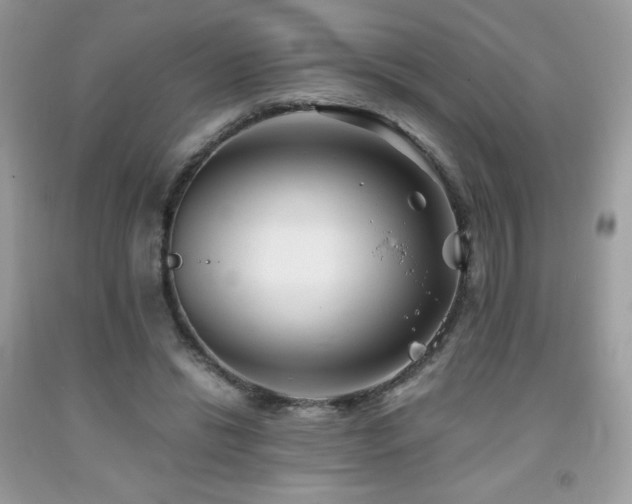 X0000092020446200709061556