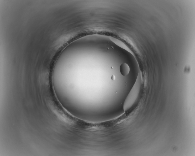 X0000092020447200709061556