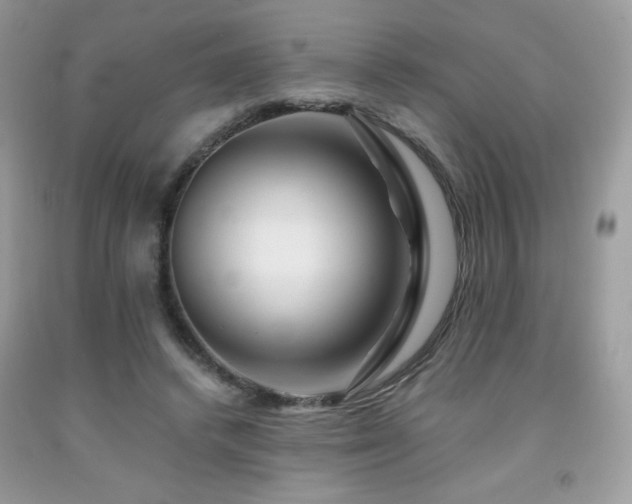 X0000092020448200709061556
