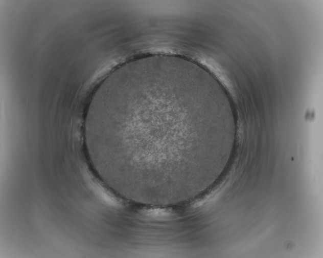 X0000092020449200709061556