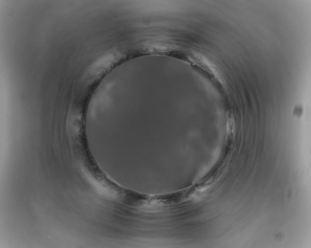 X0000092020451200709061556