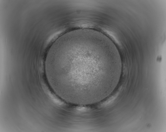 X0000092020453200709061556