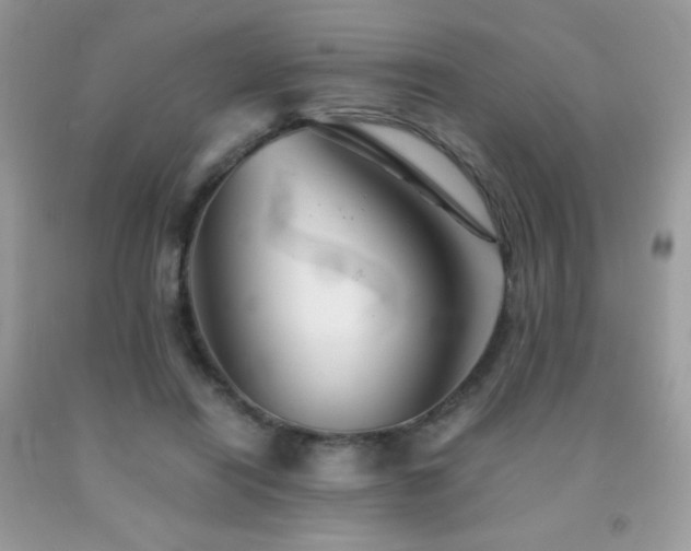 X0000092020454200709061556