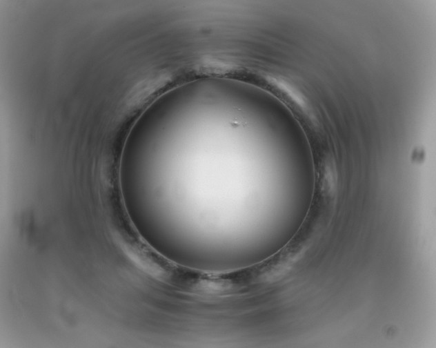 X0000092020455200709061556