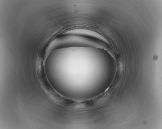 X0000092020456200709061556