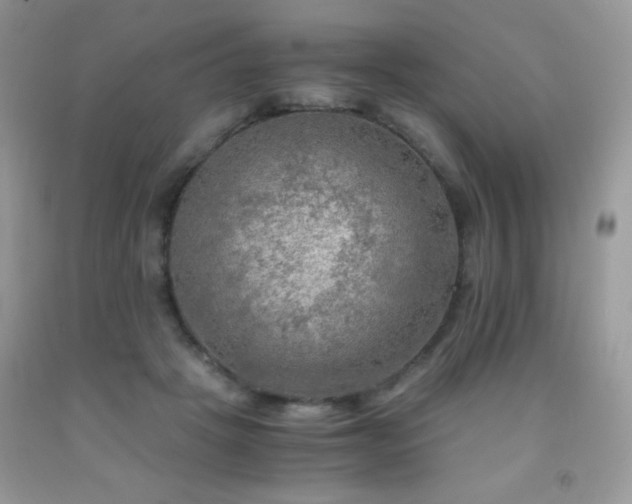X0000092020457200709061556