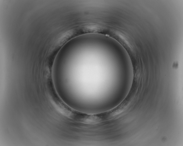 X0000092020459200709061556