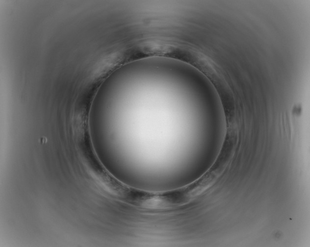 X0000092020460200709061556