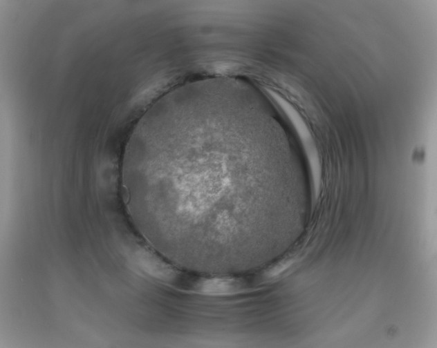 X0000092020461200709061557