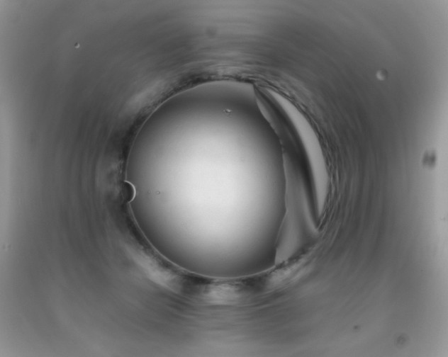 X0000092020462200709061557