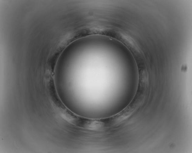 X0000092020463200709061557