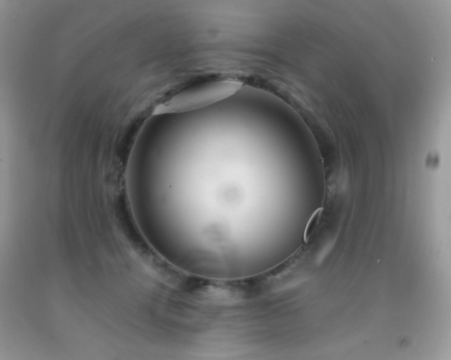 X0000092020464200709061557