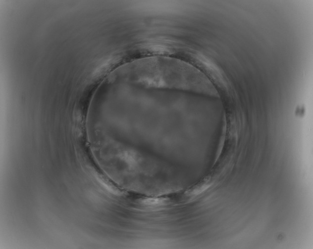 X0000092020465200709061557