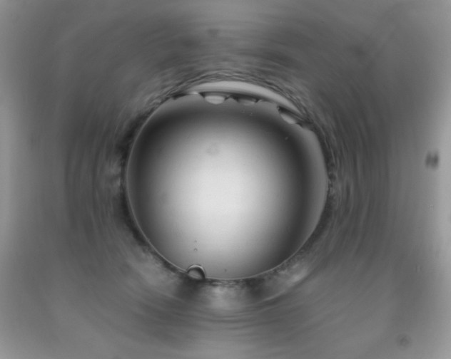 X0000092020466200709061557