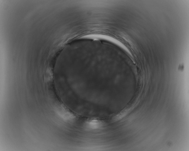 X0000092020467200709061557