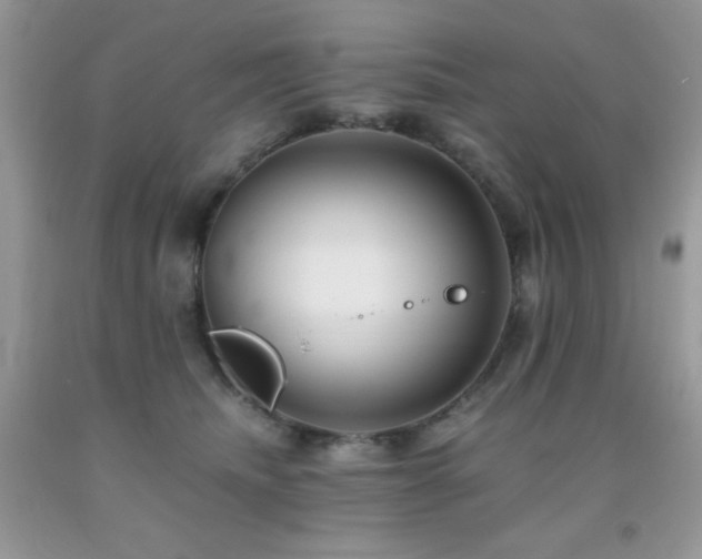 X0000092020468200709061557