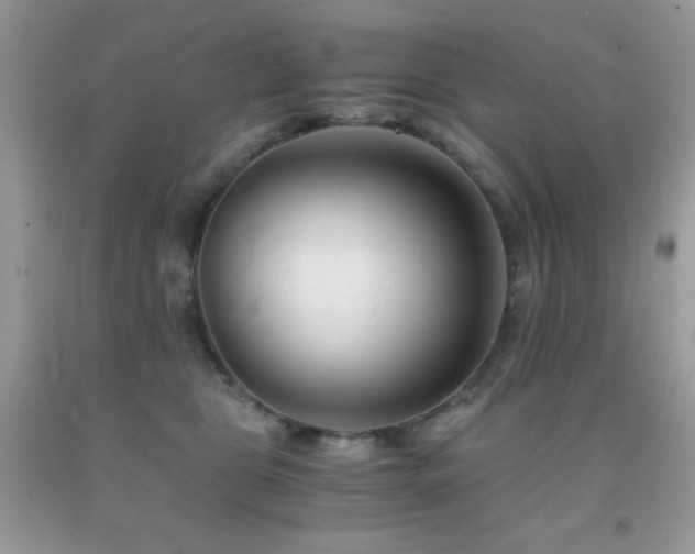 X0000092020469200709061557