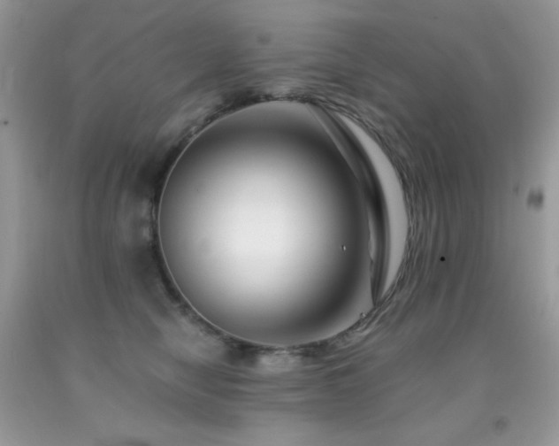 X0000092020470200709061557