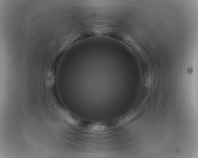 X0000092020471200709061557